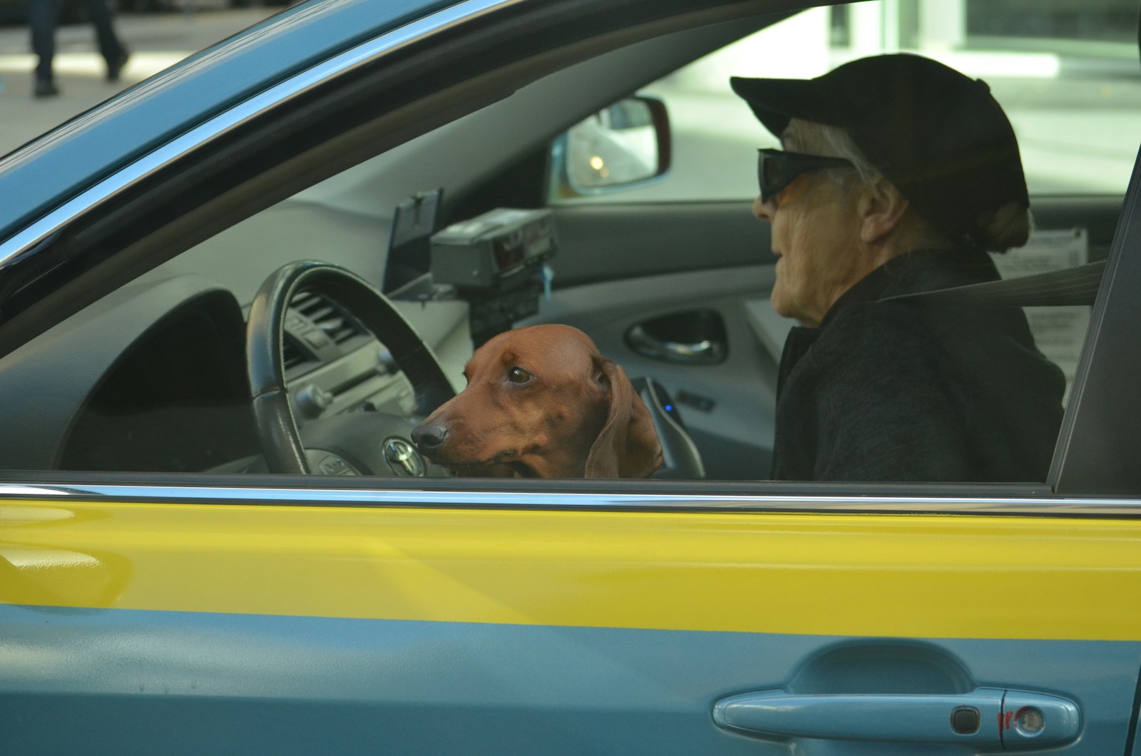 How Does Age Impact Auto Insurance Rates? 